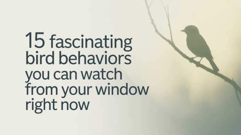 a clean minimalist blog featured image w 7zK7CX0XTI6nYa2DXXwwWA UeFWmOp7Q12 AmIruv5OEA