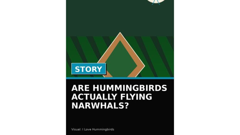 are hummingbirds actually flying narwhals wp featured