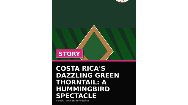 costa rica s dazzling green thorntail a hummingbird spectacle wp featured