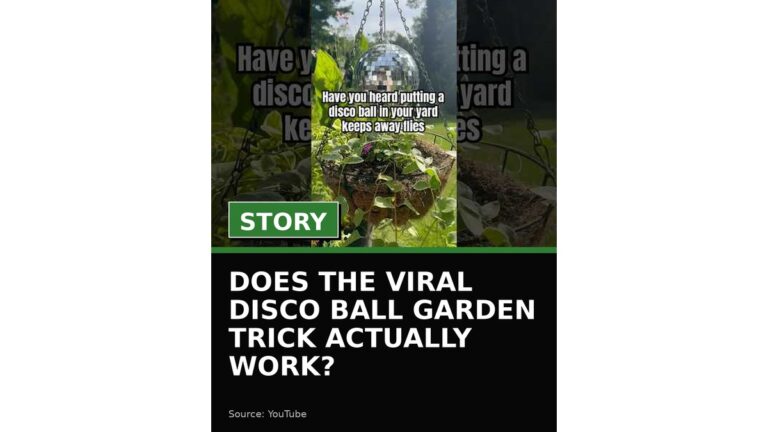 does the viral disco ball garden trick actually work wp featured 3