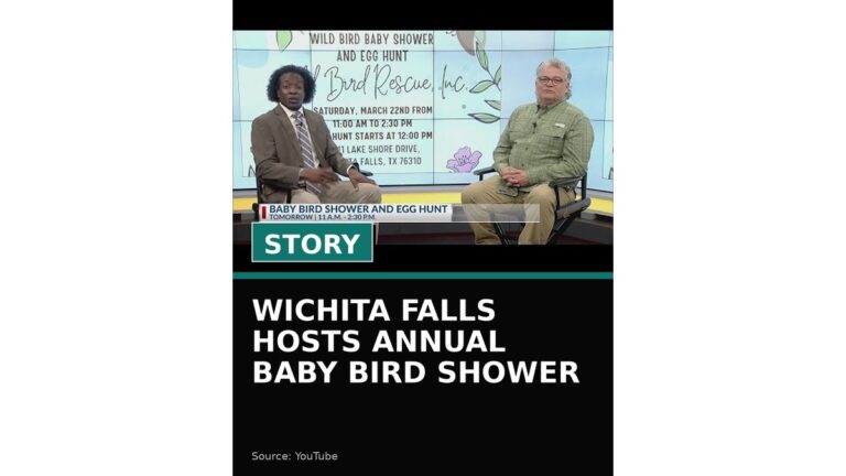 wichita falls hosts annual baby bird shower wp featured 3