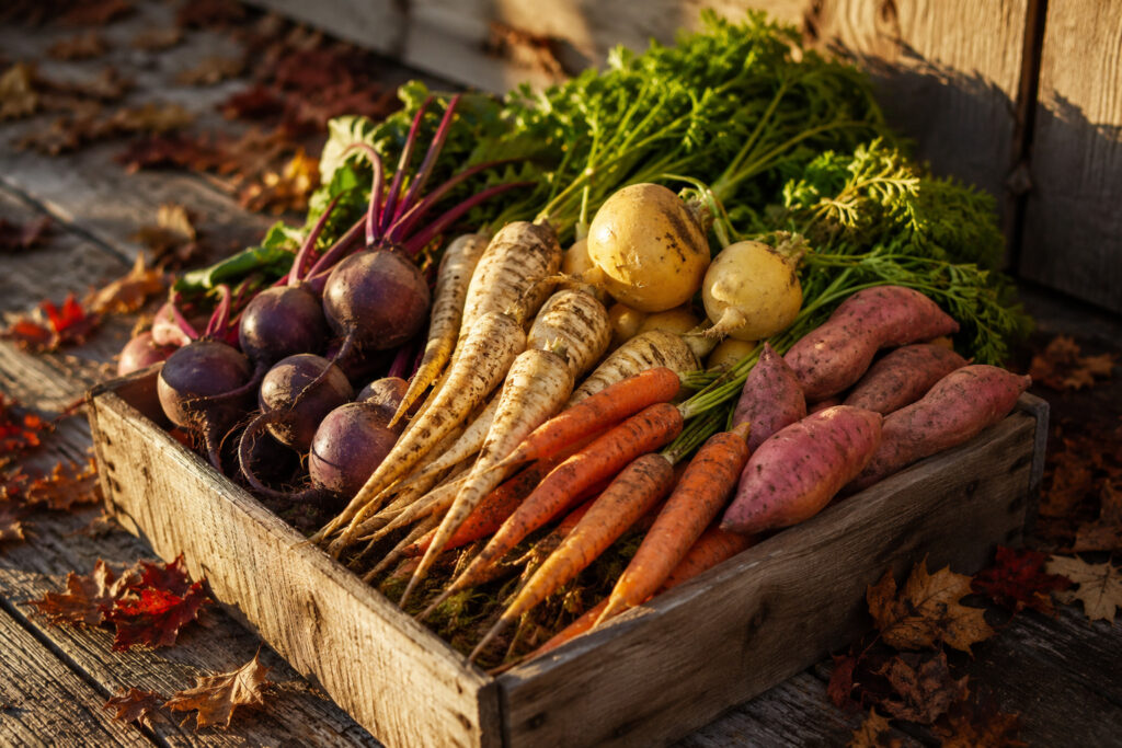 13 Root Vegetables That Get Sweeter When Fall Arrives