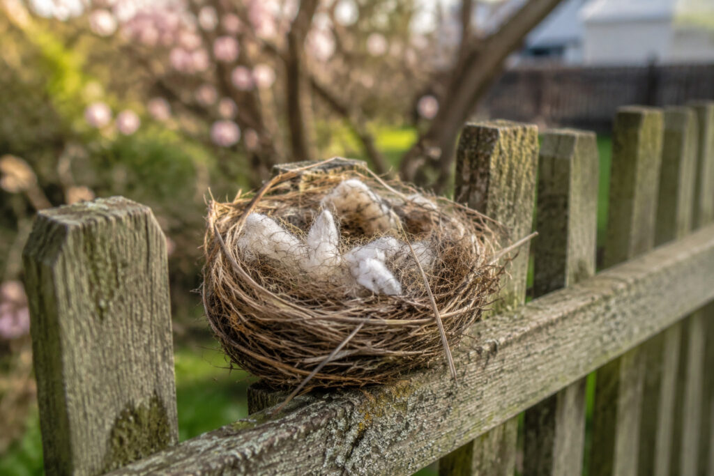 5 Natural Nesting Materials to Leave Out in March (And 3 That Are Dangerous)