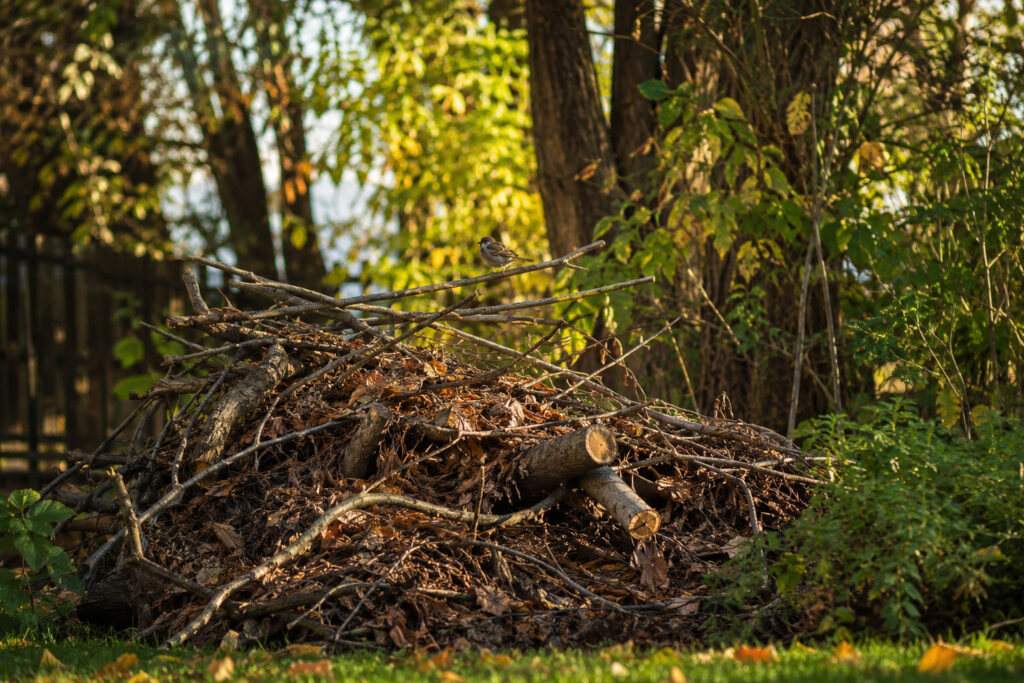 How to Build the Perfect Wildlife Brush Pile That Saves Animals All Year Long