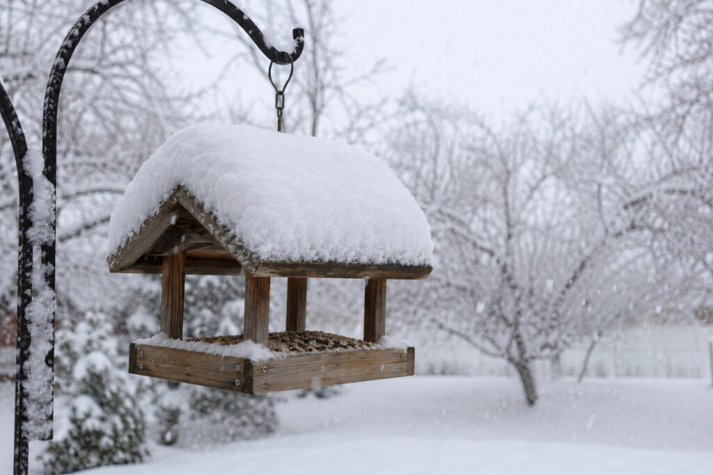 The One Feeder Location You Must Avoid During Winter Storms