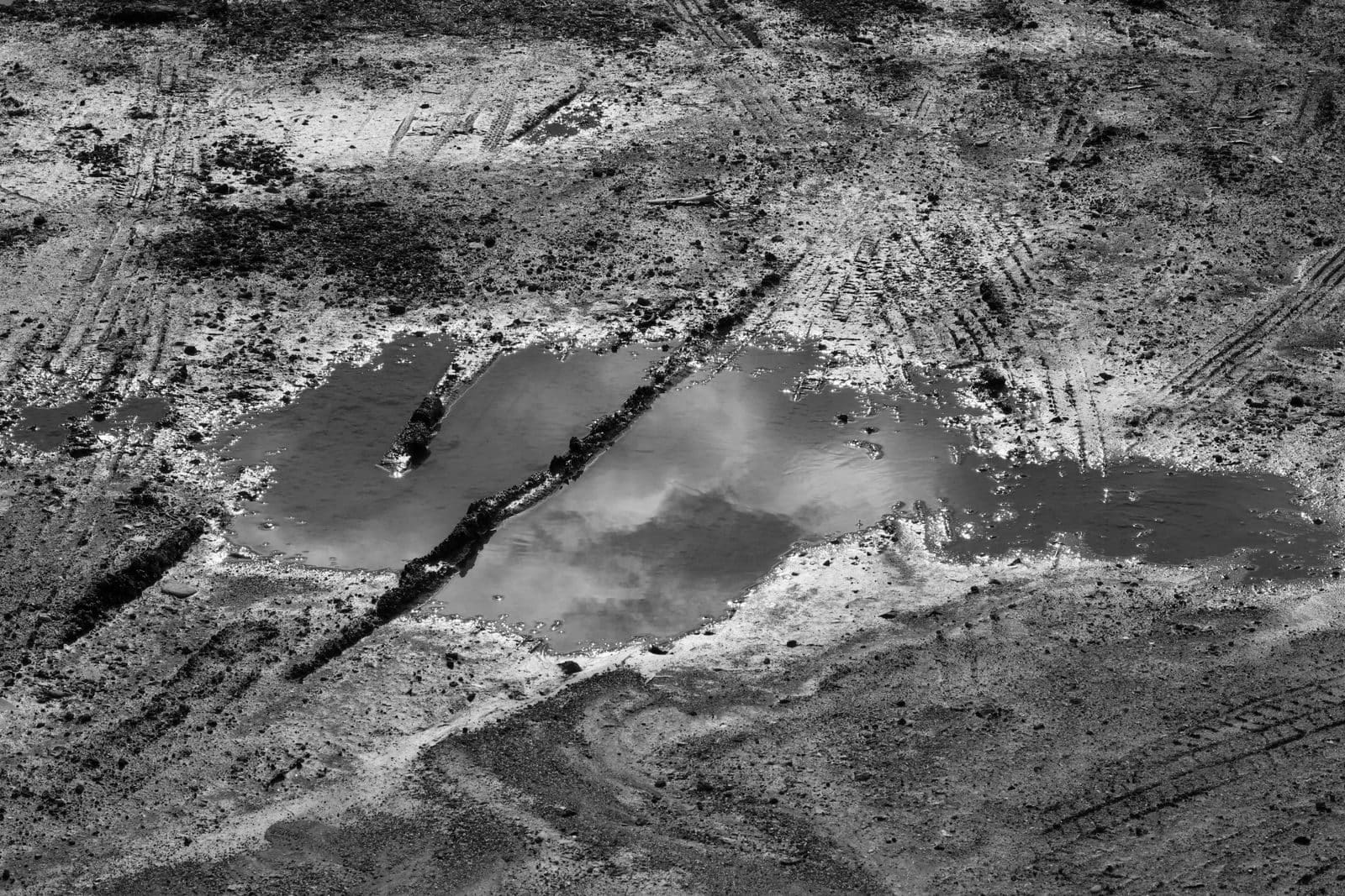Why Some Yards Are Bird Magnets While Others Stay Empty—15 Missing Elements 7 Black and white photo of a puddle reflecting the sky on a dirt road.