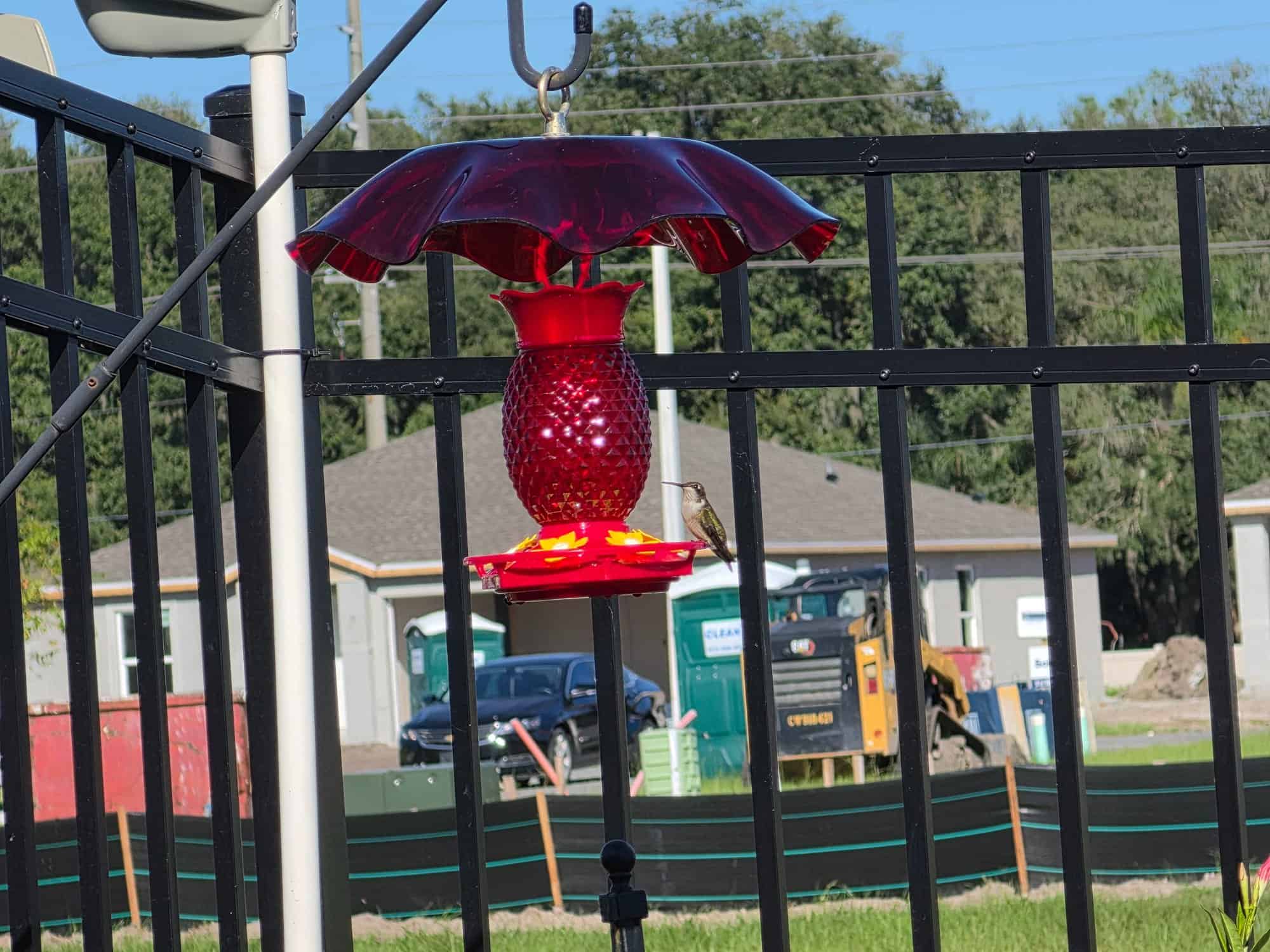 KAREN's Feeder Setup in PLANT CITY, FL 1 reader submission 41593 inbound8752963693761569878